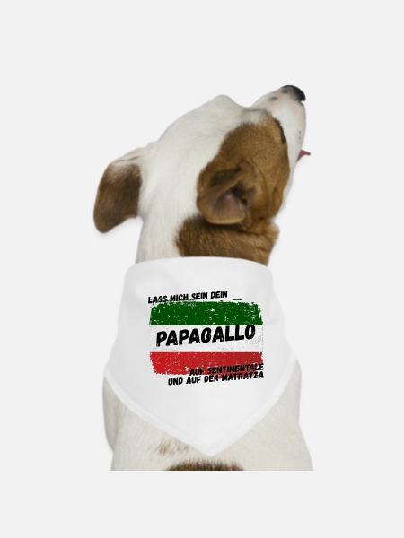 auf sentimentale und da matratza - Hunde-Bandana - Weiß - Vorne