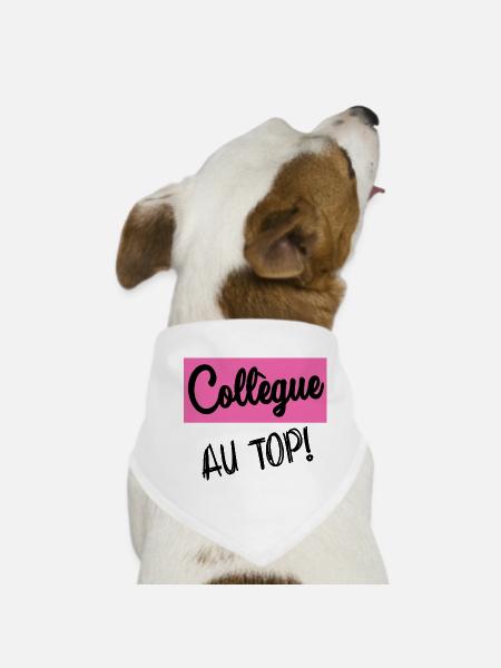 RETRAITE. RETRAITE. RETRAITEE. BONNE RETRAITE - Bandana pour chien - blanc - Devant