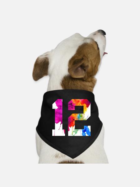 NUMMER 12 JAHRE ALT 12. GEBURTSTAG - Hunde-Bandana - Schwarz - Vorne
