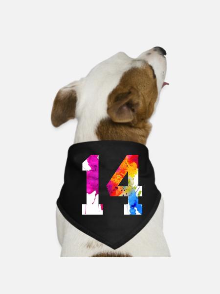 NUMMER 14 JAHRE ALT 14. GEBURTSTAG - Hunde-Bandana - Schwarz