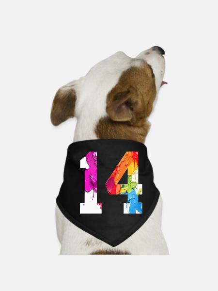 FARBIG NUMMER 14 BUNT 14. GEBURTSTAG - Hunde-Bandana - Schwarz