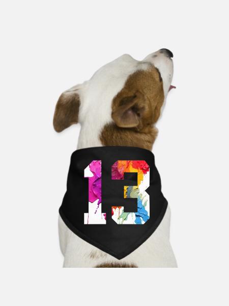 COLORED NUMBER 13 COLORFUL 13TH BIRTHDAY - Dog Bandana - black - Front