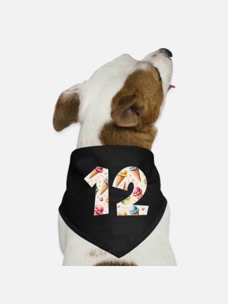EISCREME NUMMER 12 JAHRE EIS 12. GEBURTSTAG - Hunde-Bandana - Schwarz - Vorne