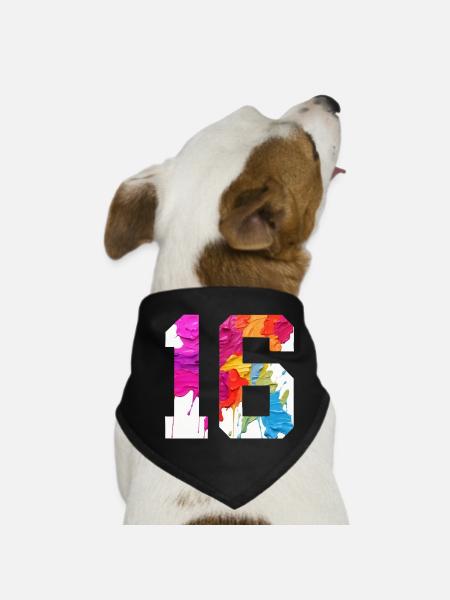 COLORED NUMBER 16 COLORFUL 16TH BIRTHDAY - Dog Bandana - black - Front