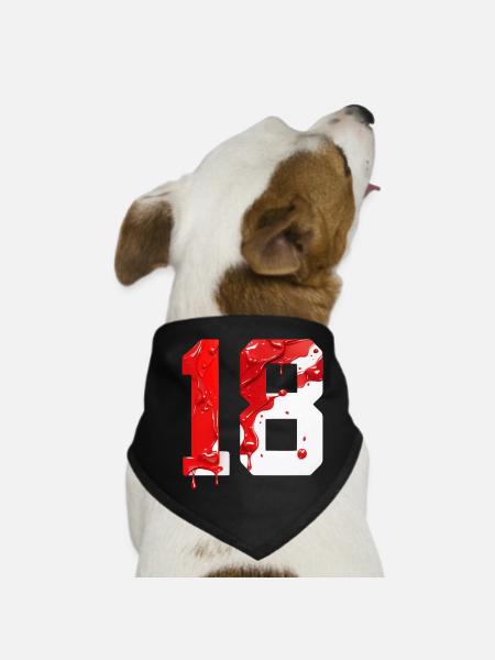 NO. 18 NUMBER 18 RED WHITE 18TH BIRTHDAY - Dog Bandana - black - Front