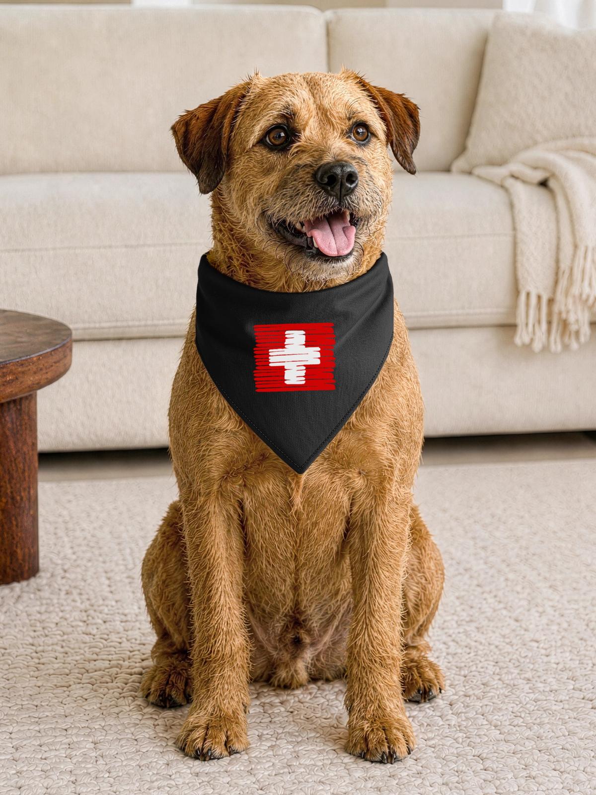 Swiss - Hunde-Bandana Dreieckstuch - Schwarz - Vorne