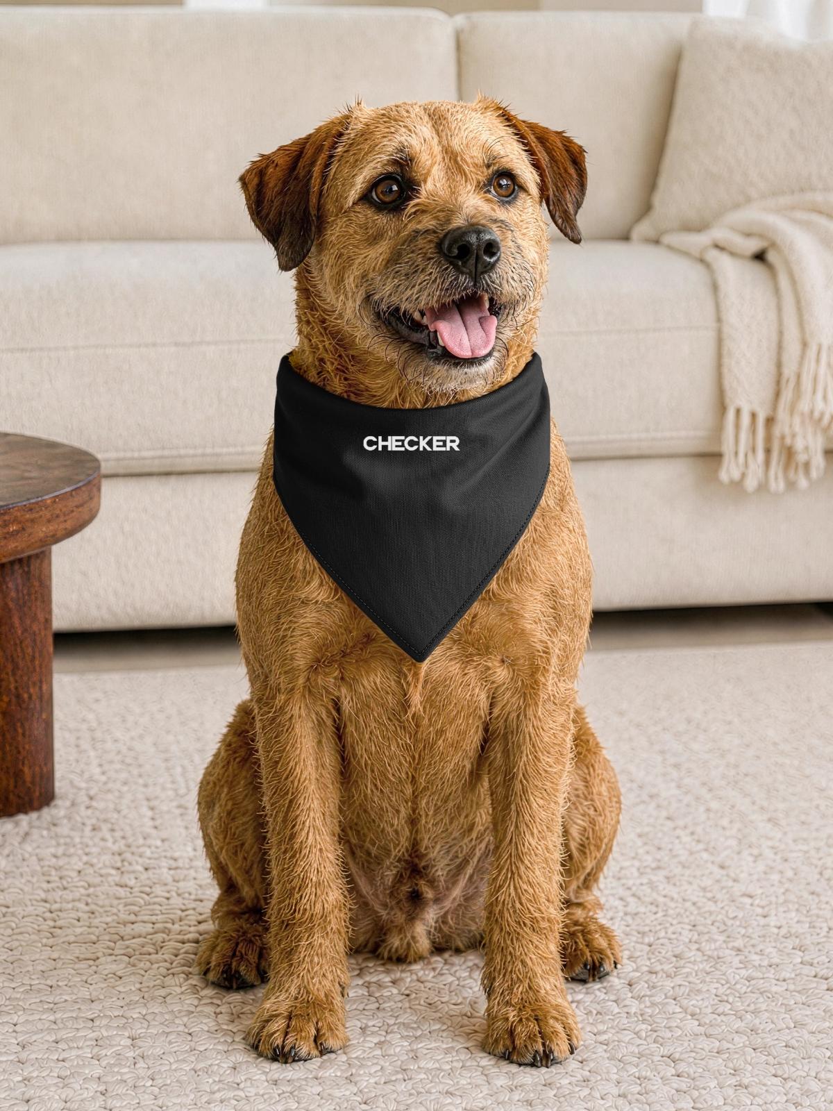 Checker - Hunde-Bandana Dreieckstuch - Schwarz - Vorne