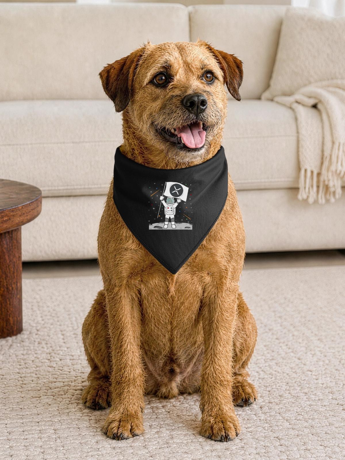 Moon XRP - Hunde-Bandana Dreieckstuch - Schwarz - Vorne