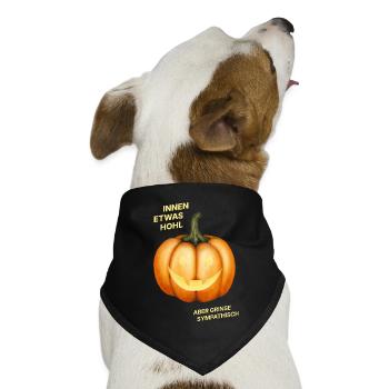 Innen etwas hohl, aber grinse sympathisch - Kürbis - Hunde-Bandana Dreieckstuch - Schwarz - Vorne