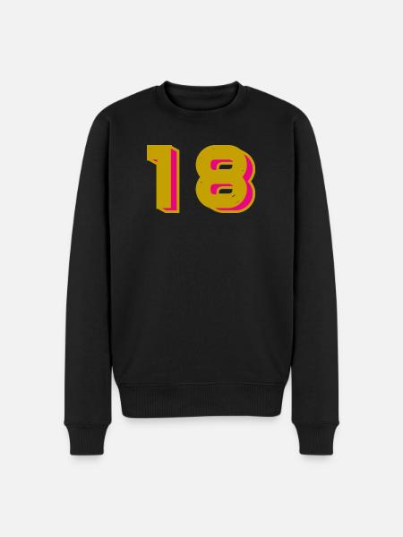 18 - Men's Premium Organic Jumper - black