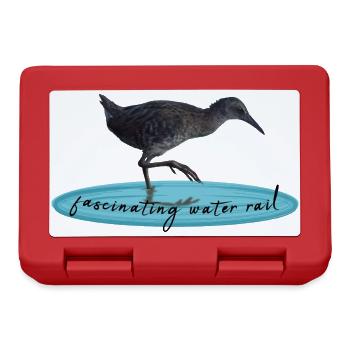 water rail - Brotdose - Rot - Vorne