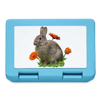 Hase Osterhase Ringelblume - Brotdose - Saphirblau - Vorne