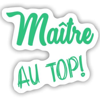 MEISTER - Sticker Größe S (10 x 10 cm) - Mattweiß - Vorne