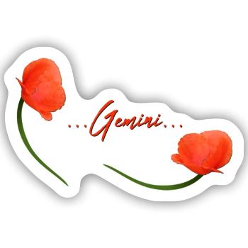Zwillinge Mohn Klatschmohn Sternzeichen Zwillinge - Sticker Größe S (10 x 10 cm) - Mattweiß - Vorne