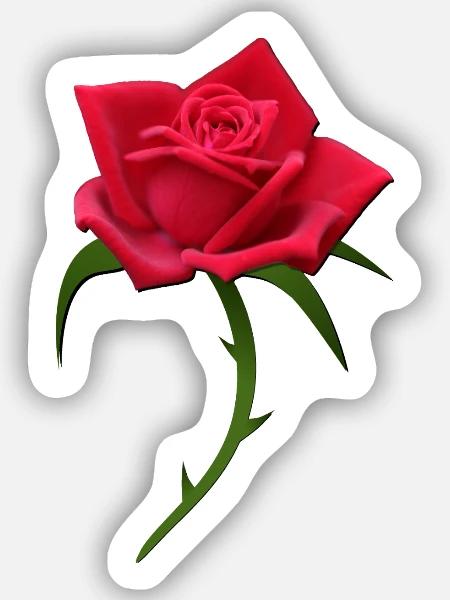 Rose rote Rose rote Rosen - Sticker Größe S (10 x 10 cm) - Mattweiß