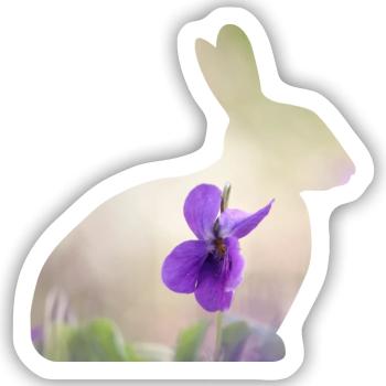 Hase Kaninchen - Sticker Größe S (10 x 10 cm) - Mattweiß - Vorne