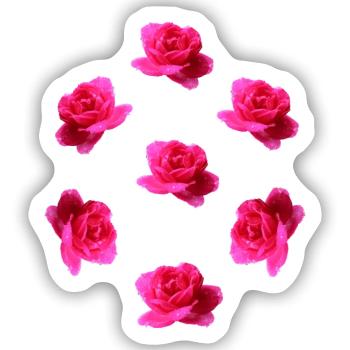pink roses - Sticker Größe S (10 x 10 cm) - Mattweiß - Vorne