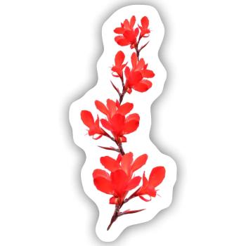 Blumenrohr rote Blumen - Sticker Größe S (10 x 10 cm) - Mattweiß - Vorne