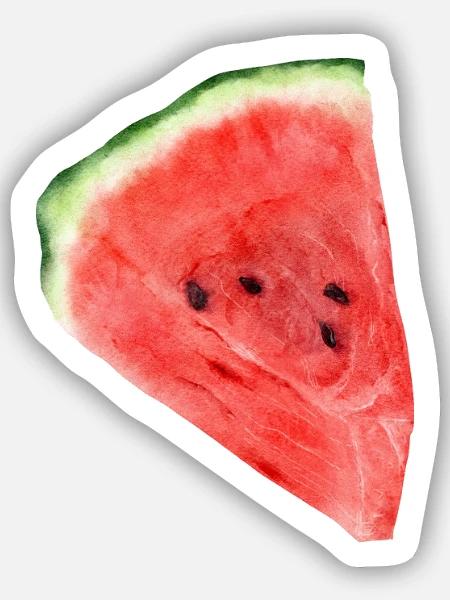 Wassermelone - Sticker Größe S (10 x 10 cm) - Mattweiß