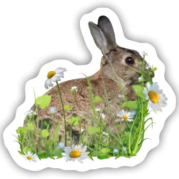 Hase weiße Blumen - Sticker Größe S (10 x 10 cm) - Mattweiß - Vorne