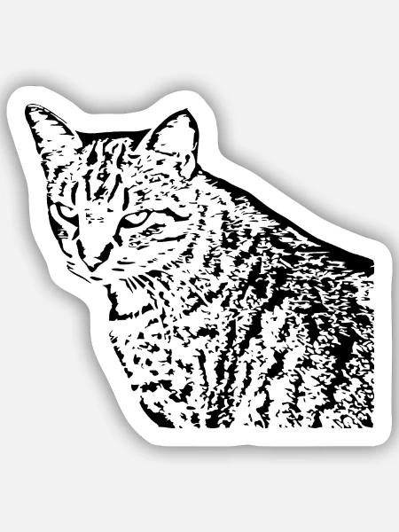 Katze Kätzchen Tigerkatze - Sticker Größe S (10 x 10 cm) - Mattweiß