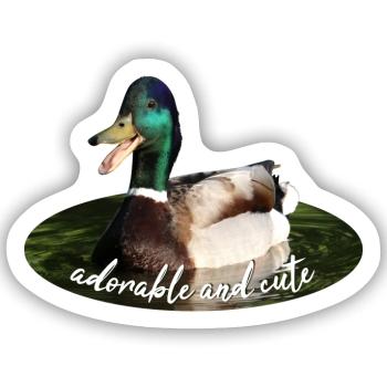 Ente Stockente - Sticker Größe S (10 x 10 cm) - Mattweiß - Vorne