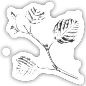 Astzeichnung Kugelschreiber - Sticker Größe S (10 x 10 cm) - Mattweiß - Vorne