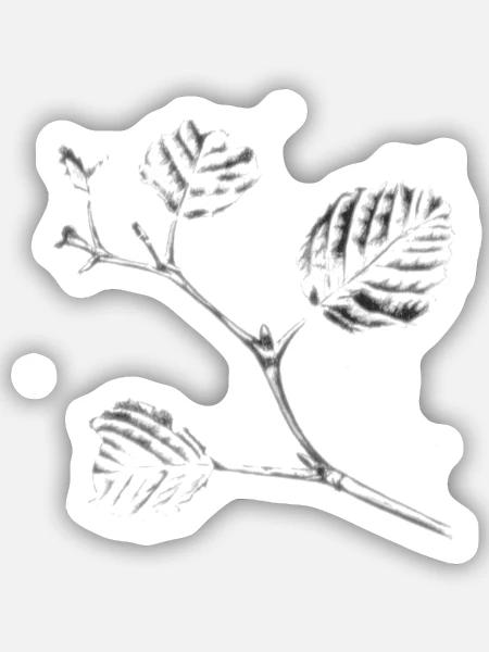 Astzeichnung Kugelschreiber - Sticker Größe S (10 x 10 cm) - Mattweiß