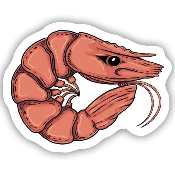 Shrimp || Annie. - Sticker Größe S (10 x 10 cm) - Mattweiß - Vorne