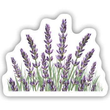 Lavendelhalme Lavendel - Sticker Größe S (10 x 10 cm) - Mattweiß - Vorne