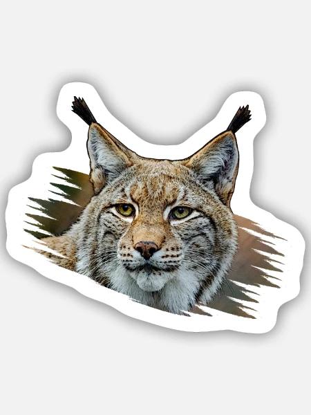 Luchs - Sticker Größe S (10 x 10 cm) - Mattweiß