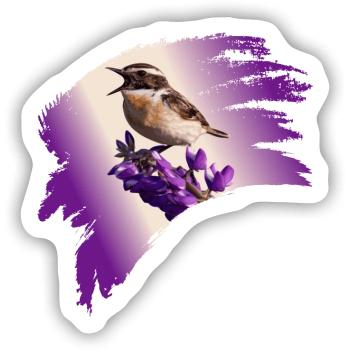 Braunkehlchen, Vogel des Jahres 2023 - Sticker Größe S (10 x 10 cm) - Mattweiß - Vorne