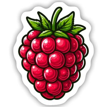 Himbeere, Obst - Sticker Größe S (10 x 10 cm) - Mattweiß - Vorne