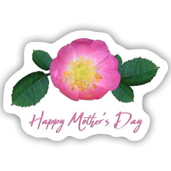 mothers day rose - Sticker Größe S (10 x 10 cm) - Mattweiß - Vorne