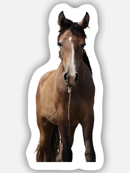 Pferd Mädchen Geschenk - Sticker Größe S (10 x 10 cm) - Mattweiß