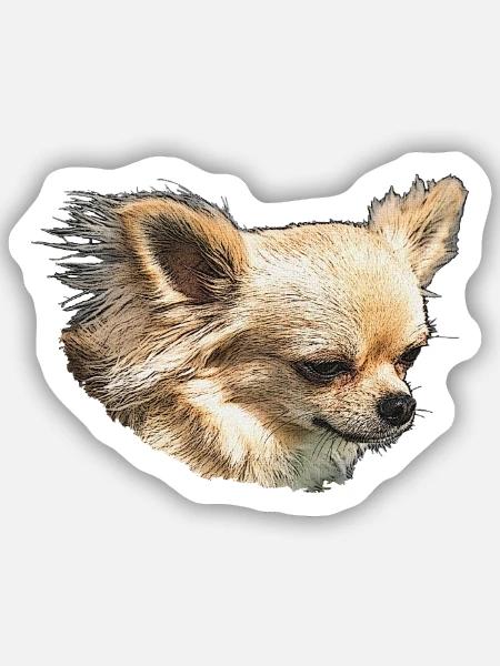 Chihuahua Kopfporträt - Sticker Größe S (10 x 10 cm) - Mattweiß