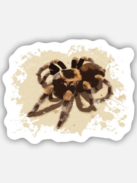 T-Shirt Spinne - Sticker Größe S (10 x 10 cm) - Mattweiß