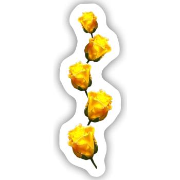 gelbe Rosen - Sticker Größe S (10 x 10 cm) - Mattweiß - Vorne