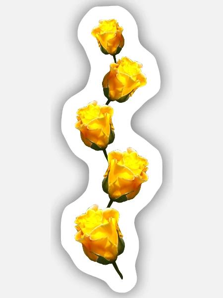gelbe Rosen - Sticker Größe S (10 x 10 cm) - Mattweiß