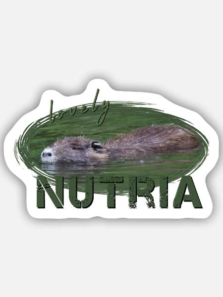 Nutria Biber Biberratte Wasserratte - Sticker Größe S (10 x 10 cm) - Mattweiß