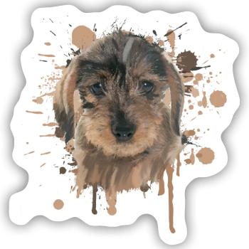 Rauhaardackel Dackel Dachshund Teckel Illustration - Sticker Größe S (10 x 10 cm) - Mattweiß - Vorne