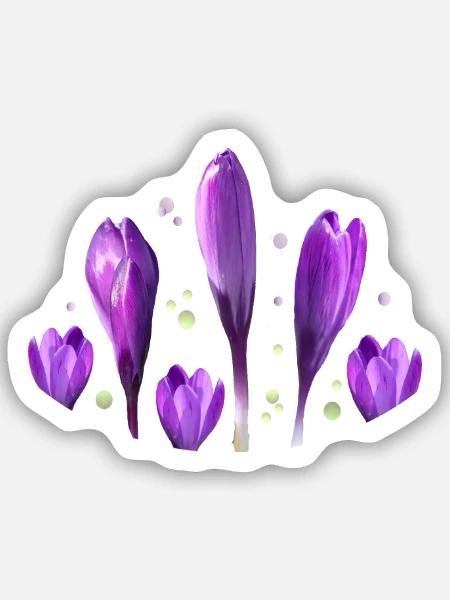 Krokusse - Sticker Größe S (10 x 10 cm) - Mattweiß
