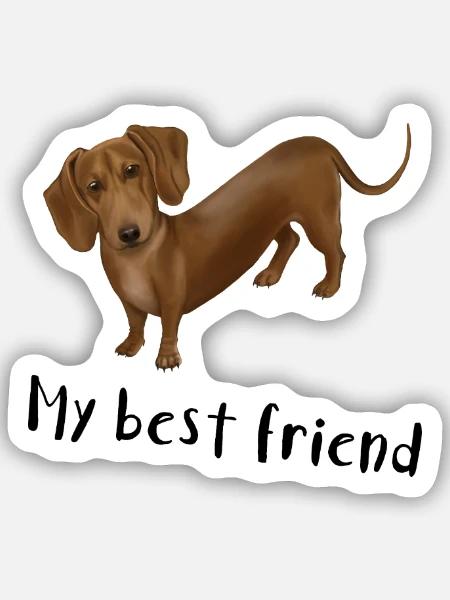 My best Friend - Dackel ist mein bester Freund - Sticker Größe S (10 x 10 cm) - Mattweiß