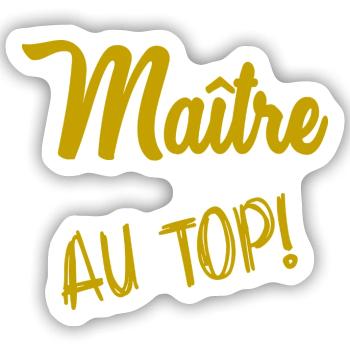 MEISTER. MEISTER - Sticker Größe S (10 x 10 cm) - Mattweiß - Vorne
