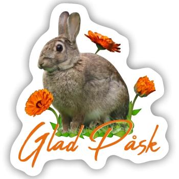 glad pask Frohe Ostern - Sticker Größe S (10 x 10 cm) - Mattweiß - Vorne