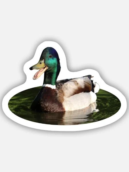 Stockente Ente - Sticker Größe S (10 x 10 cm) - Mattweiß