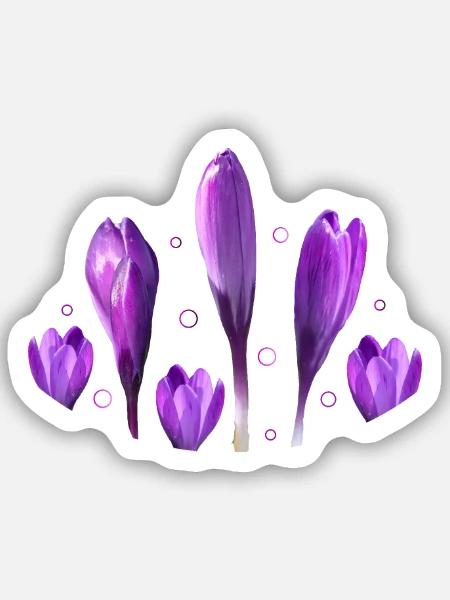 Krokusse Frühling Frühlingsboten - Sticker Größe S (10 x 10 cm) - Mattweiß