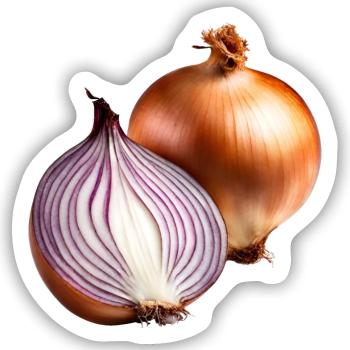 Rote Zwiebel Frische - Sticker Größe S (10 x 10 cm) - Mattweiß - Vorne