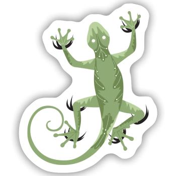 Gecko kletternd - Grüne Echse Illustration - Sticker Größe S (10 x 10 cm) - Mattweiß - Vorne