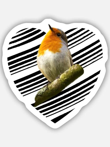 Rotkehlchen robin Erithacus rubecula - Sticker Größe S (10 x 10 cm) - Mattweiß
